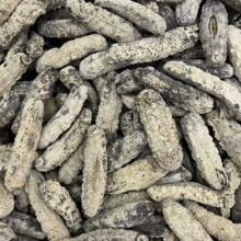 ���x�S�Ⅲ �ɶȺ� �l�l���� ����ڸ��z�|��