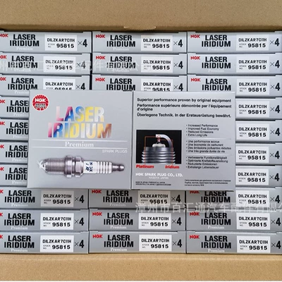 plug, Alışdırma şamı (Sveçalar)