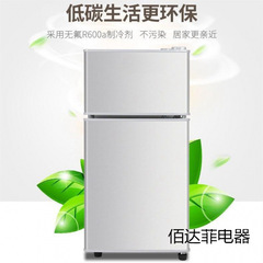 小冰箱迷你家用冷冻小型能效一级电冰箱租房宿舍专用二人用