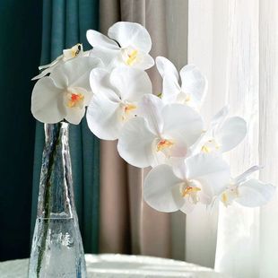 ��ɫ�����m�r�л��r�����ֱ�lˮ���滨�廨�m���������������m