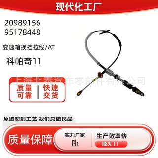 20989156 95178448 95299053 95371869 95401629适用拉线科帕奇