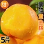 无毛大果新鲜芒果油桃