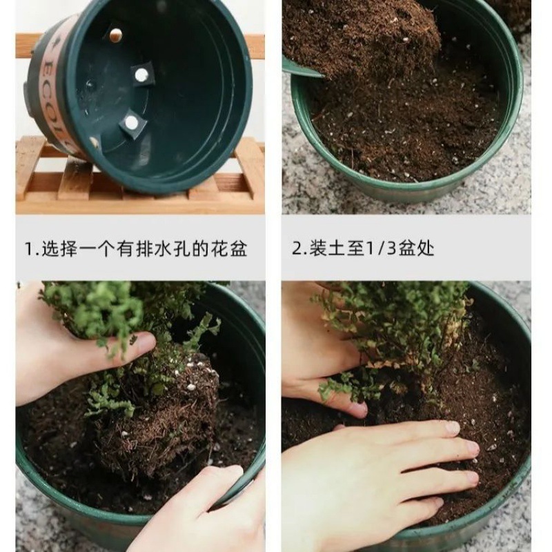 通用型营养土种菜土花土种花养花种植土壤多肉绿萝种植种植土批发