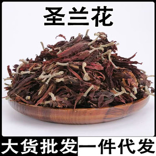 ���m�� ���m���ɻ��}�m��������m�������m�����l���l