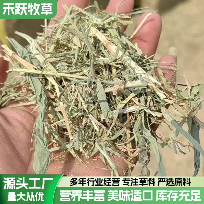 马场牛场青干草 青干草草捆 饲料牧草青草揉丝网袋青干草块草捆