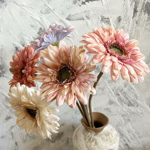 �� �͹� ��ɫϵ���޾� ���ɻ�  ��֧̫ꖻ� �Ҿ��bٻ����l