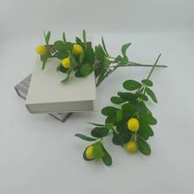 ���Ә��~���ӹ�֧����̘��~�����۹���֦����.�u�����Gֲ