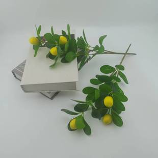 ���Ә��~���ӹ�֧����̘��~�����۹���֦����.�u�����Gֲ