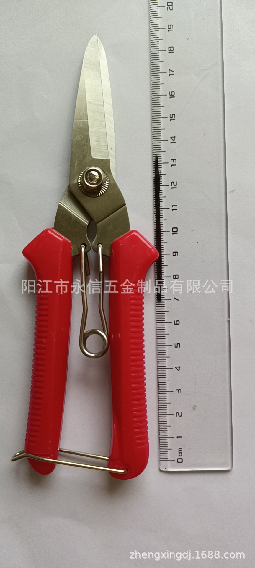 剪刀花园剪葡萄果园摘果柿子剪修枝剪果园剪