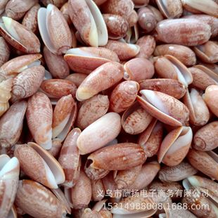 �R����Ů������Ȼؐ���������lDIY�Ʒ�b�����ֹ�����Ư��ƿ