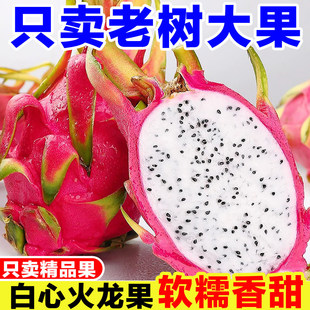 ��ϰ��Ļ��������r�����ЋD�Ꭷˮ��9������������һ̖����