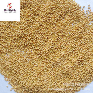 ����܎�á��׽���500g��؛��������ă������Ĕz��ș�����l�׽���