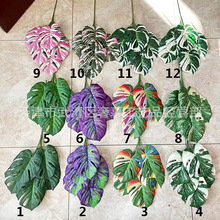 ��c5�^3D�Ų������~ ��Y�⾰�Ĕz���Ա��W���~������羳�Gֲ