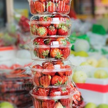 果一次性透明水果沙拉碗水果捞圆形打包盒密封果切草莓包装盒