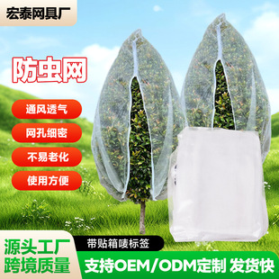 �羳���u����ֲ����x�ֻ��@���@�r�ô���üӺ���Bֲ����x��