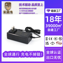 12v3A4A5A锂电池充电器户外投光灯充电器LED灯驱动储能电池充电器