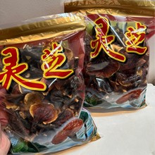 ���ĈD Ұ�������`֥ ζ���� ����r�� �����`֥ �`֥ �����`֥