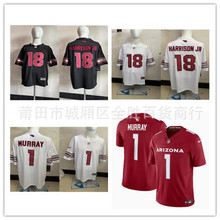 Cardinals ����ɣ�Ǽtȸ 18̖HARRISONJR 1̖Murray  �ϙ����