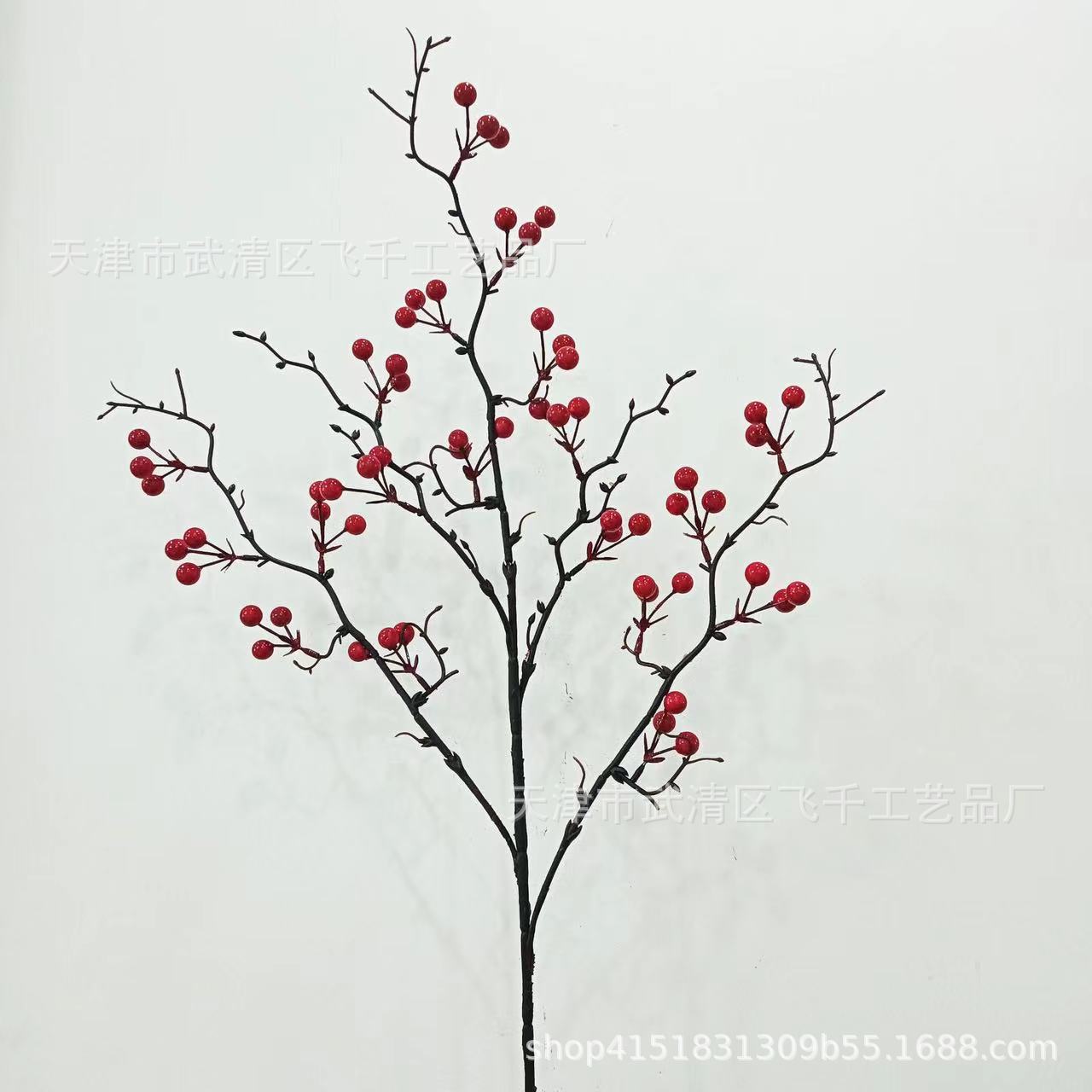 19 머리 붉은 과일