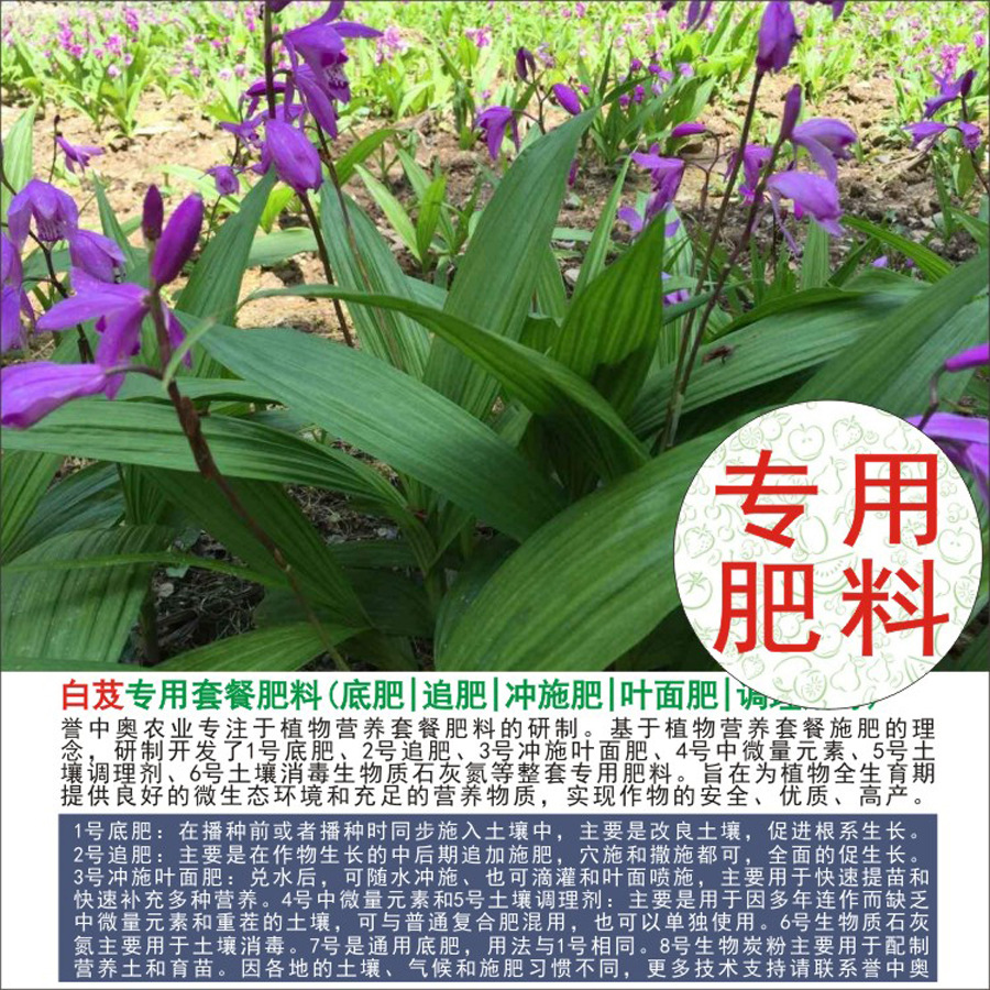 50�����а°�ܸר���л��ʸ��Ϸʵ׷�׷��Ҷ��ʳ�ʩ��ˮ�ܷ�