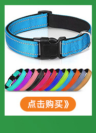 O1CN01lj00G11dETpgNAmMx_!!2207616903704-0-cib.jpg?__r__=1672715806251