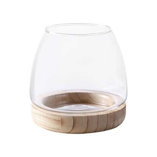 Simple green radish copper money grass desktop ecological fish tank living room flower arrangement ornaments hydroponic vase transparent glass
