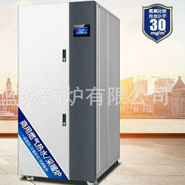厂家供应天然气液化气暖气辅助循环锅炉家用立式天然气锅炉现货