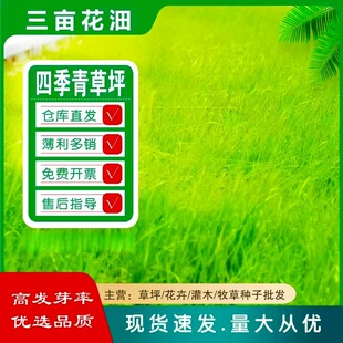 �ͺ������ļ����ƺ�N�Ӻ����ݸ���é������ͥԺ�G���e�����@�G��