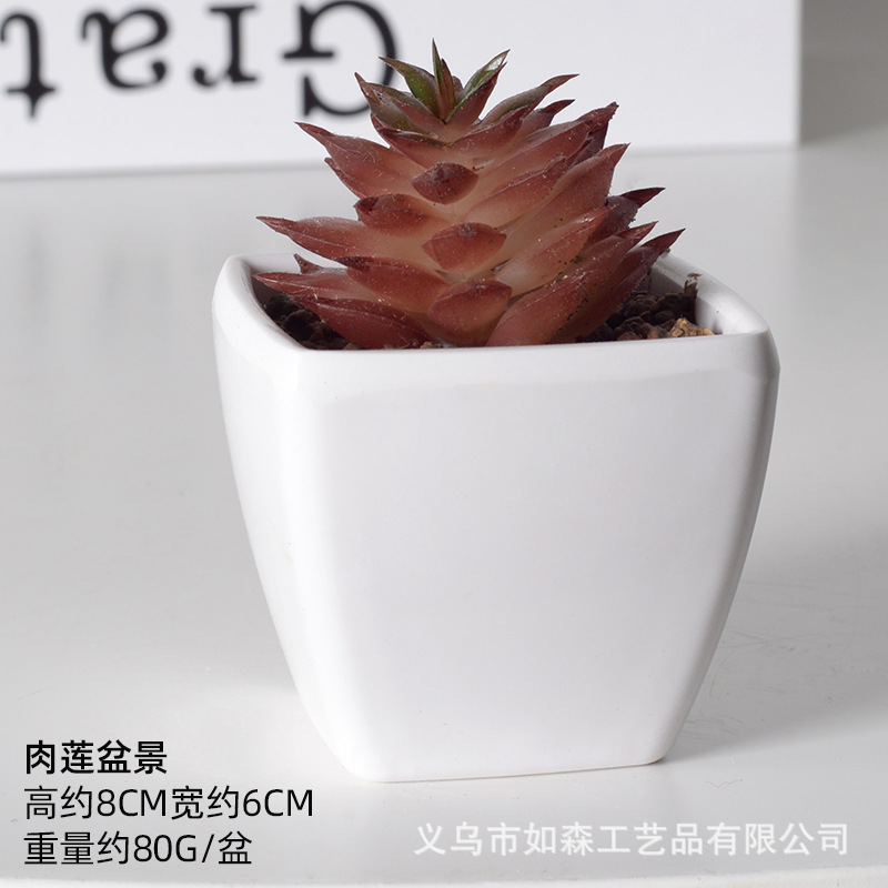 Simulación de plástico carnoso bonsai flor falsa combinación oficina interior escritorio plantas verdes pequeños adornos plantas artificiales al por mayor image 44