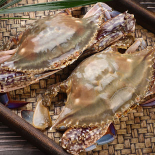 10����]�������з�ʴ�з�r���ك��ʝM�r������з���з