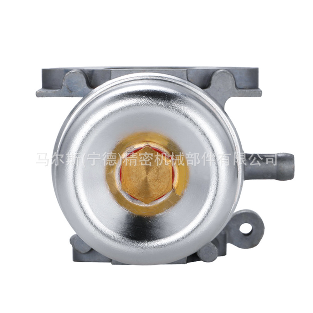 799871 Carburetor for Bs 790845 126m02 799866 796707 Carburetor