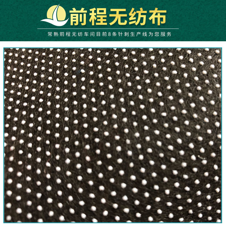 常熟厂家批发滴塑地毯毛毡面料黑色滴塑不织布止滑点塑针刺无纺布