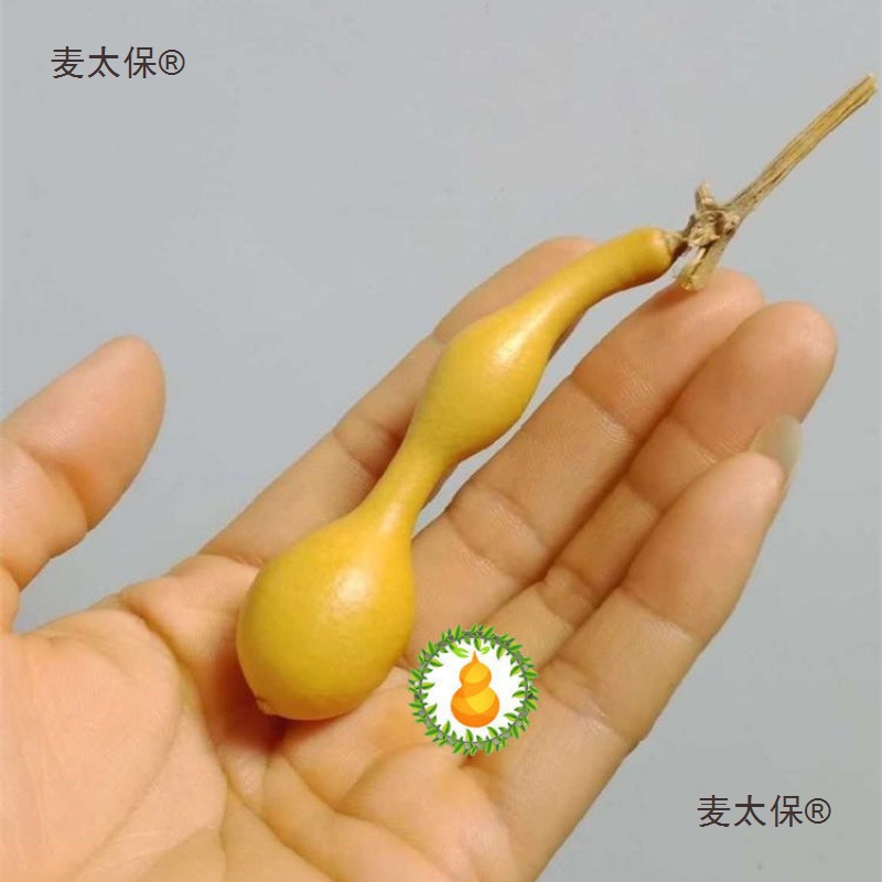精品天然文玩小葫芦蚂蚁肚手捻葫芦异形手把件天津弓背直杆麦太保