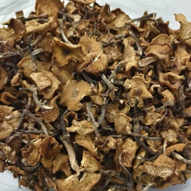 参类滋补品;其他滋补;灵芝