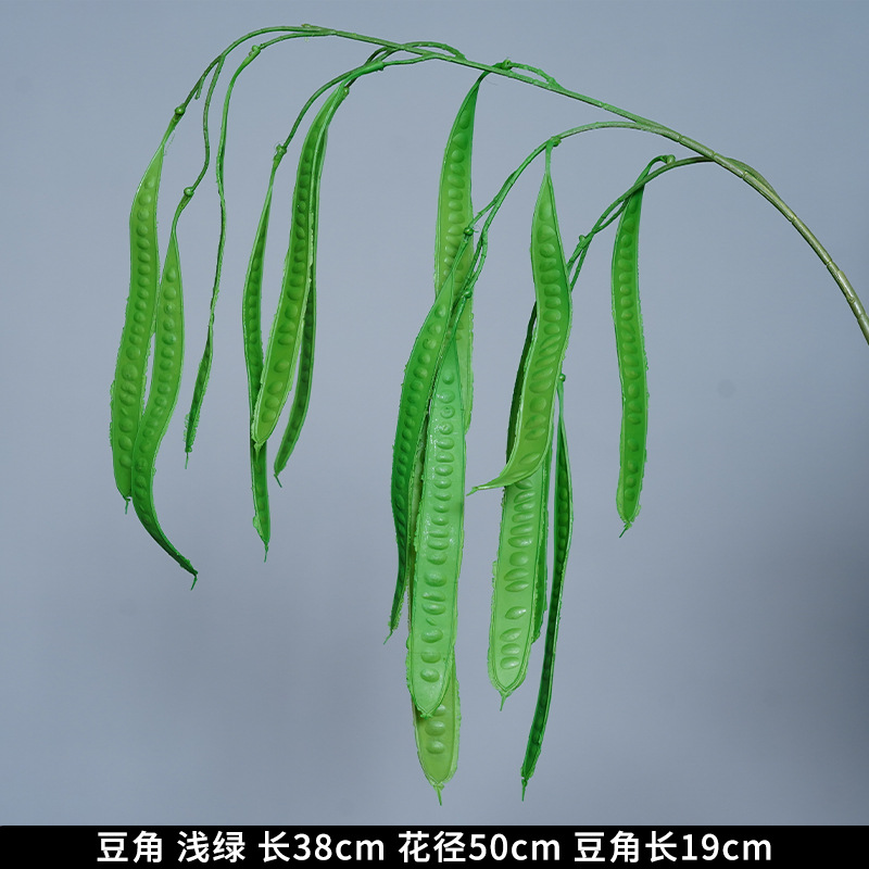 Beans light green