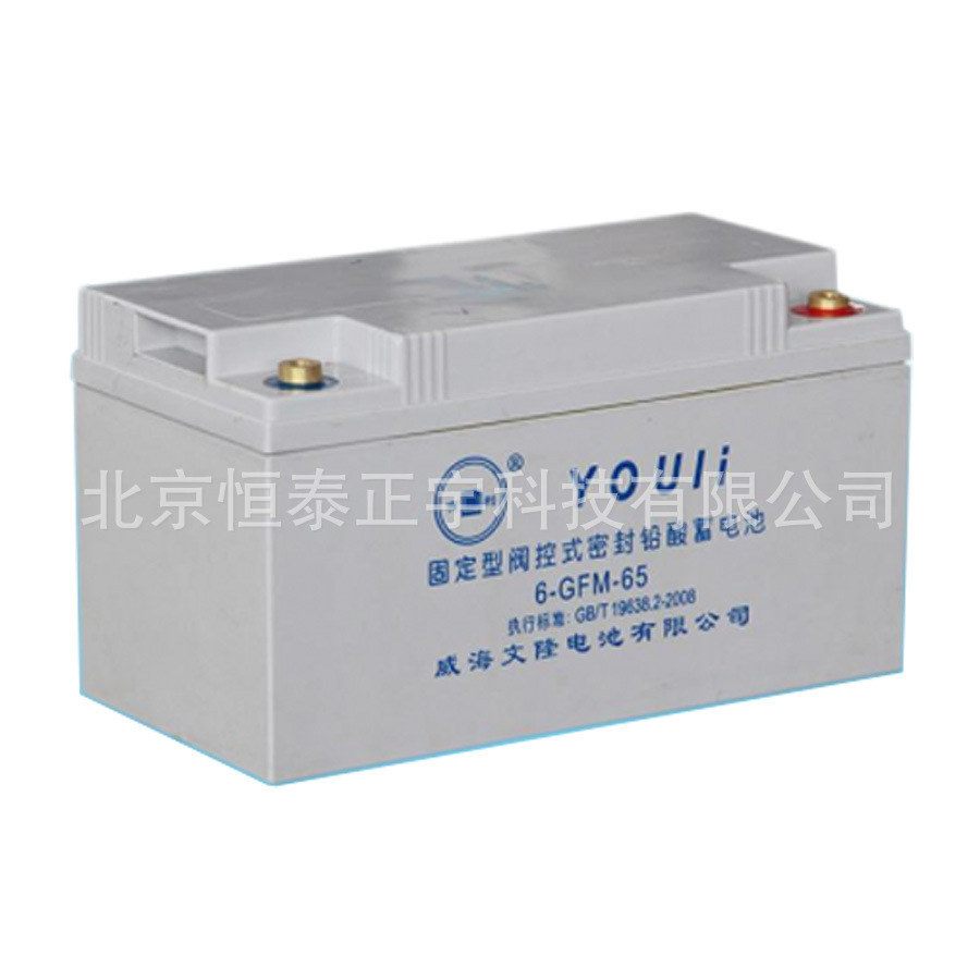 有利YOULi蓄电池6-GFM-65 12V65AH消防照明 UPS电源配套 EPS机房