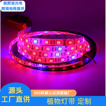 �羳���lLEDֲ��􎧻��������z�� 5 10���p���ֲ�����L�� 12V