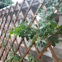 爬藤架戶外防腐木柵欄伸縮實木籬笆花園圍欄護欄牆面裝飾網格花架