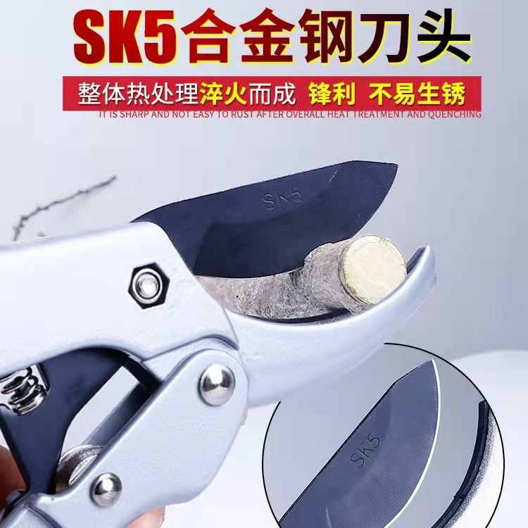五金工具园林剪 果树修枝剪 园艺修枝剪刀 树枝剪 SK5刀片果枝剪