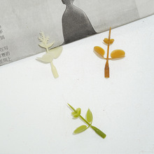 鱼缸装饰仿真水草植物仿真金钱叶封顶diy装饰品生态造景塑料配件