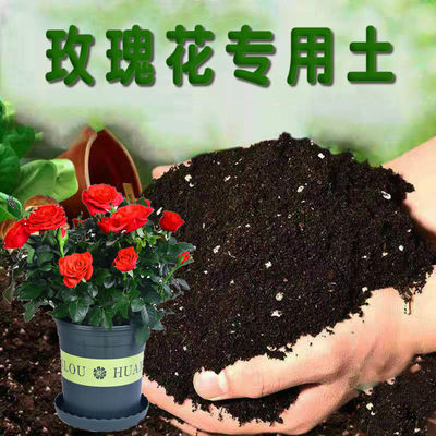 月季專用土玫瑰月季花營養土壤薔薇歐月花泥酸性種植土肥料亞馬遜