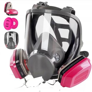 Gas mask paint dust chemical pesticide decoration grinding 6800 protective mask cross-border hot sales a generation of hair