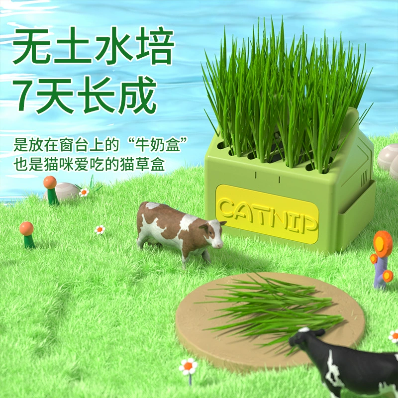Кошачье семя кошка Трава коробка кошка Трава гидропонная коробка кошка закуска натуральное удаление волос креативная молочная коробка кошка Трава