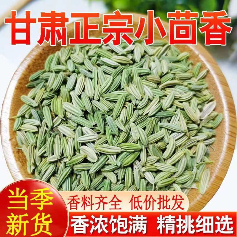 甘肃新货食用小茴香粒颗500g克商用菜种籽中药材八角大回香小荤香