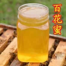 �r�����B�ٻ�����ɽ��������Ȼ�������500�˱�y��