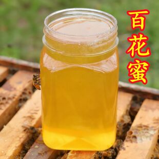 �r�����B�ٻ�����ɽ������Ȼ����Ұɽ������500g