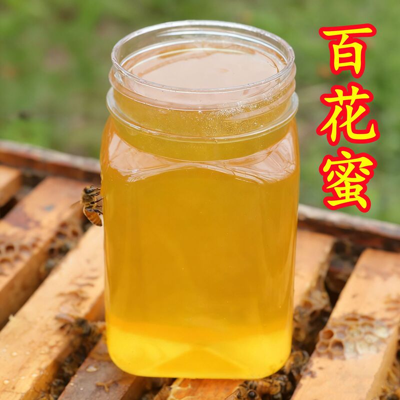 Farmhouse-Produced Wildflower Honey from Deep Mountains, Naturally Matured Wildflower Honey 500g