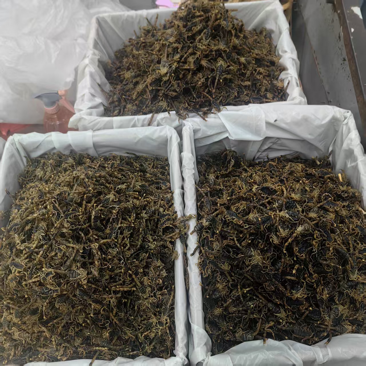 Dried Whole Scorpion Quan Xie 清水全蝎 Buthus martensii Whole Body Traditional TCM Herb 100g specifications