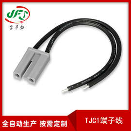 TJC1端子线 10mm-8mm大间距条形连接器线束 功放音频端子线