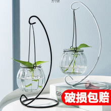 水培瓶植物透明玻璃花瓶容器绿萝花盆鱼花共养缸水养摆件器皿